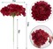 10 Pcs Burgundy Artificial Hydrangea Flower Heads with Stems, Silk Fabric Faux Flowers for Wedding Centerpieces, DIY Bouquets, Floral Arrangements, Home and Party Decorations